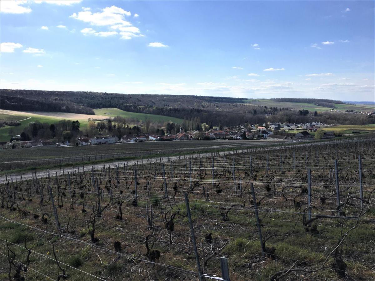 Un coin de forêt Courmas Exterior foto