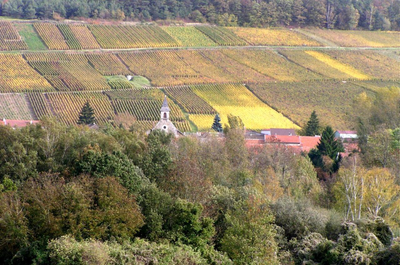 Un coin de forêt Courmas Exterior foto